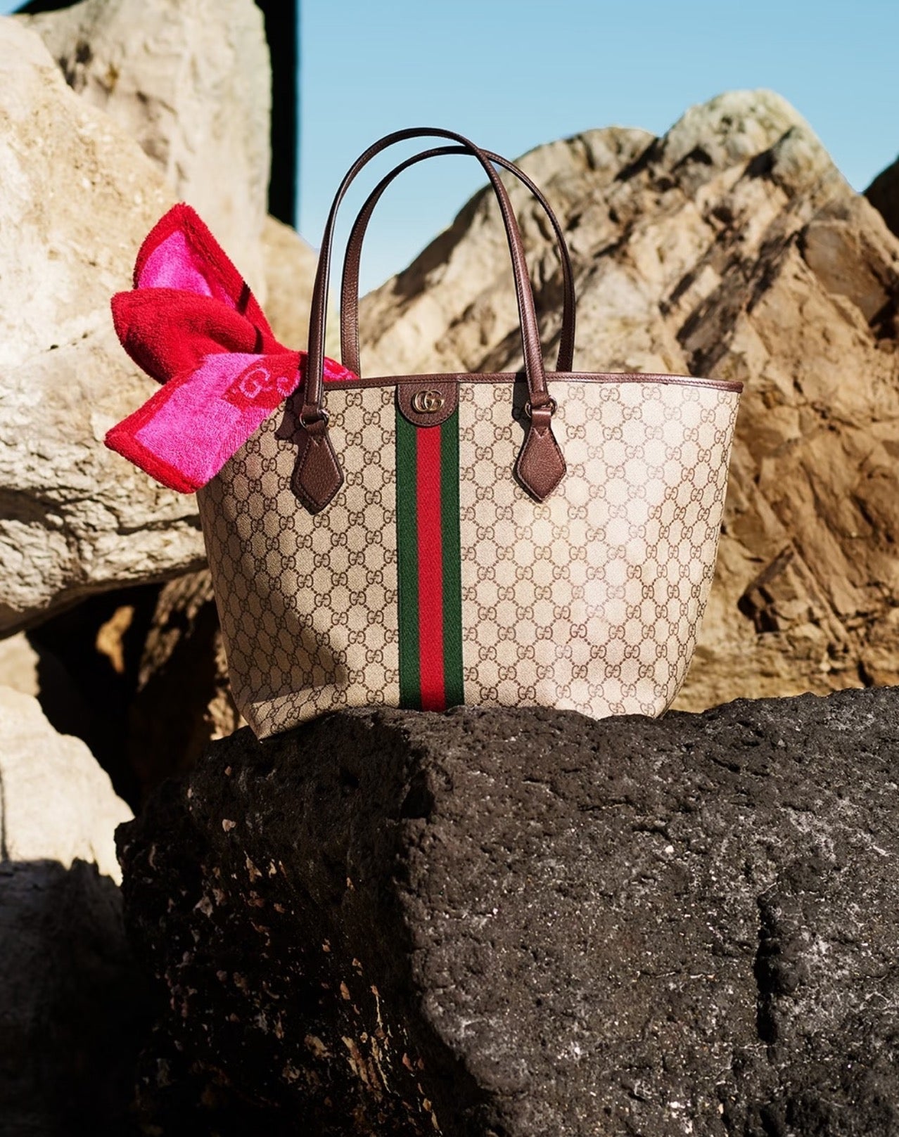 Gucci Ophidia Small Tote Bag – 836848/836849